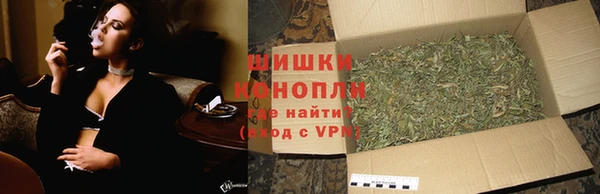 круглые Белокуриха