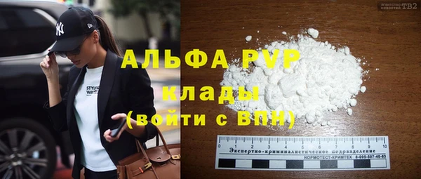 круглые Белокуриха